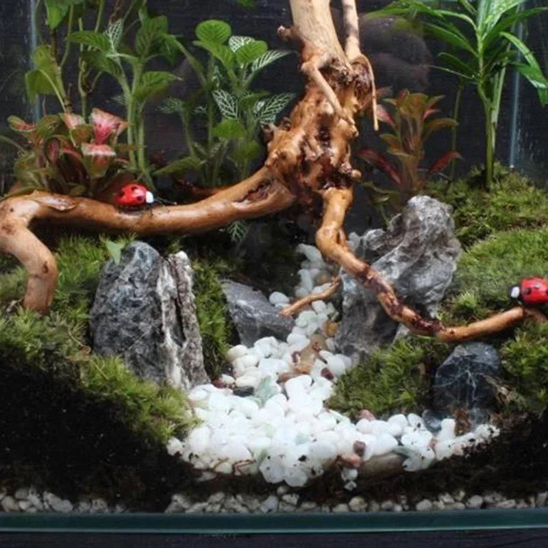 Natural Tree Trunk Driftwood A - Aquarium Plant Ornament review and price