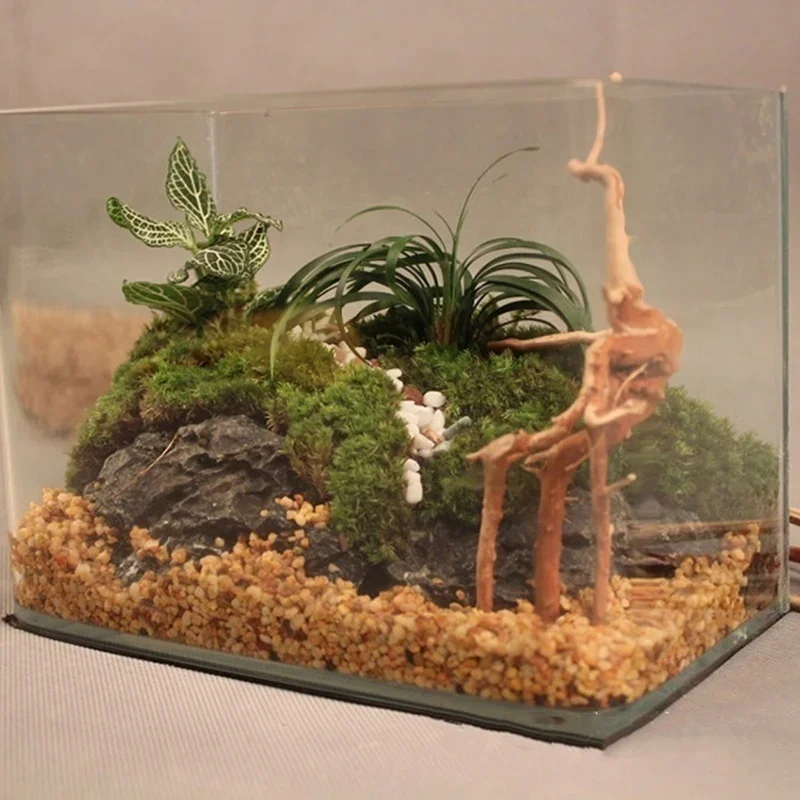 Natural Tree Trunk Driftwood A - Aquarium Plant Ornament review and price