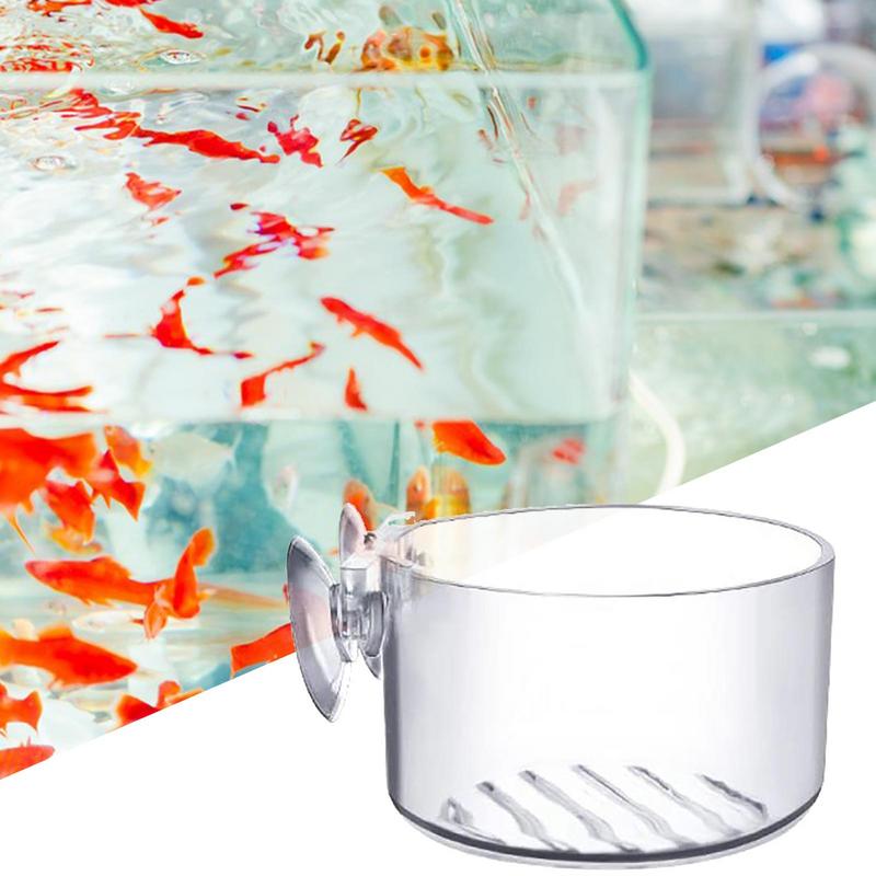 Aquarium Plant Pot Glass Cylin - Aquarium Planted Seeds review and price