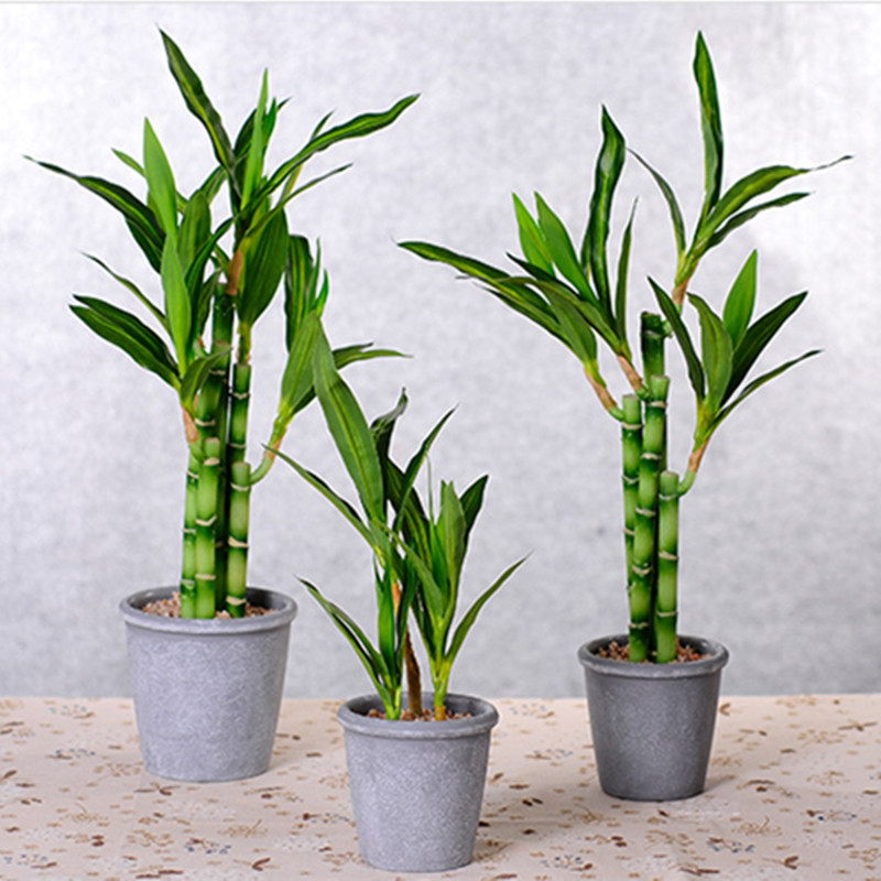 New 40cm Artificial Lucky Bamb - Aquarium Plants Book review and price