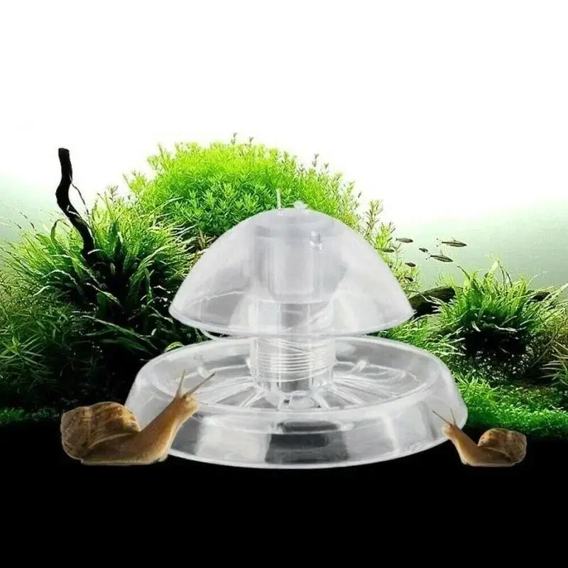 2026 New 6/8CM Clear Plastic S - Planted Aquarium With Fish review and price