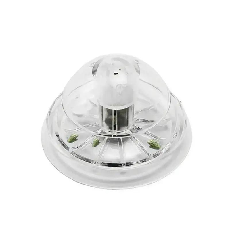 2026 New 6/8CM Clear Plastic S - Planted Aquarium With Fish review and price