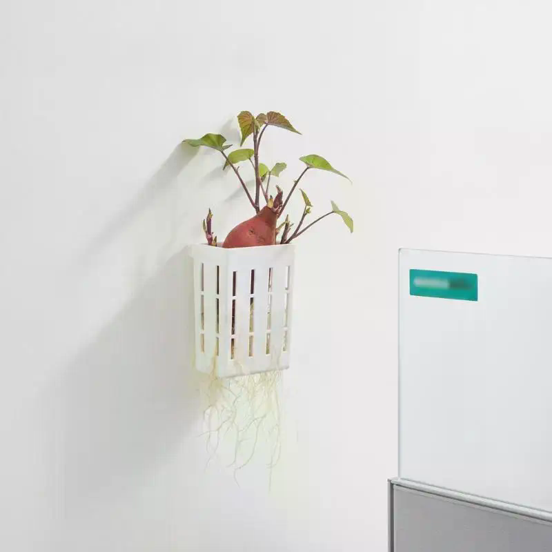 1Pcs Hydroponic Support Basket - Planted Aquarium With Fish review and price