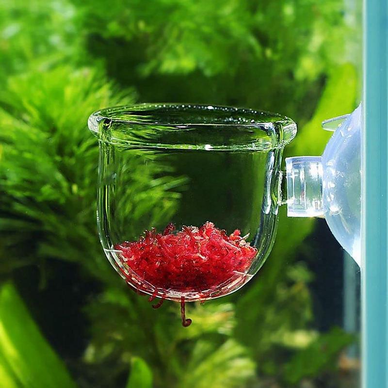 Acrylic Aquatic Plant Cup Aqua - Aquarium Planted Seeds review and price