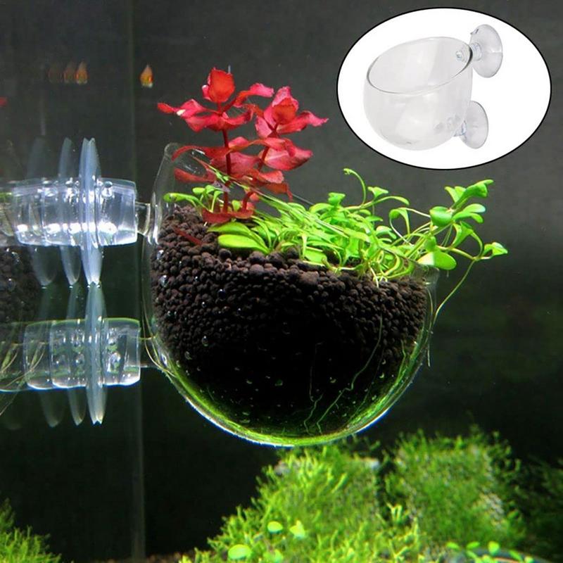 Acrylic Aquatic Plant Cup Aqua - Aquarium Planted Seeds review and price