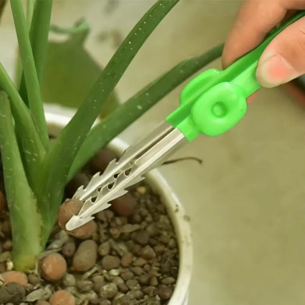 Stainless Steel Gardening Twee - Planted Clip Tweezers review and price