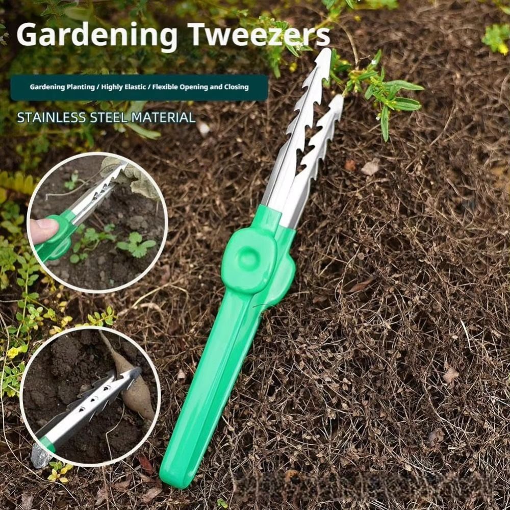 Stainless Steel Gardening Twee - Planted Clip Tweezers review and price