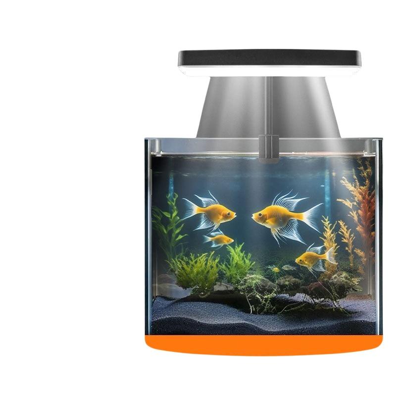 USB Aquarium Clip Light Flexib - Planted Aquarium With Fish review and price
