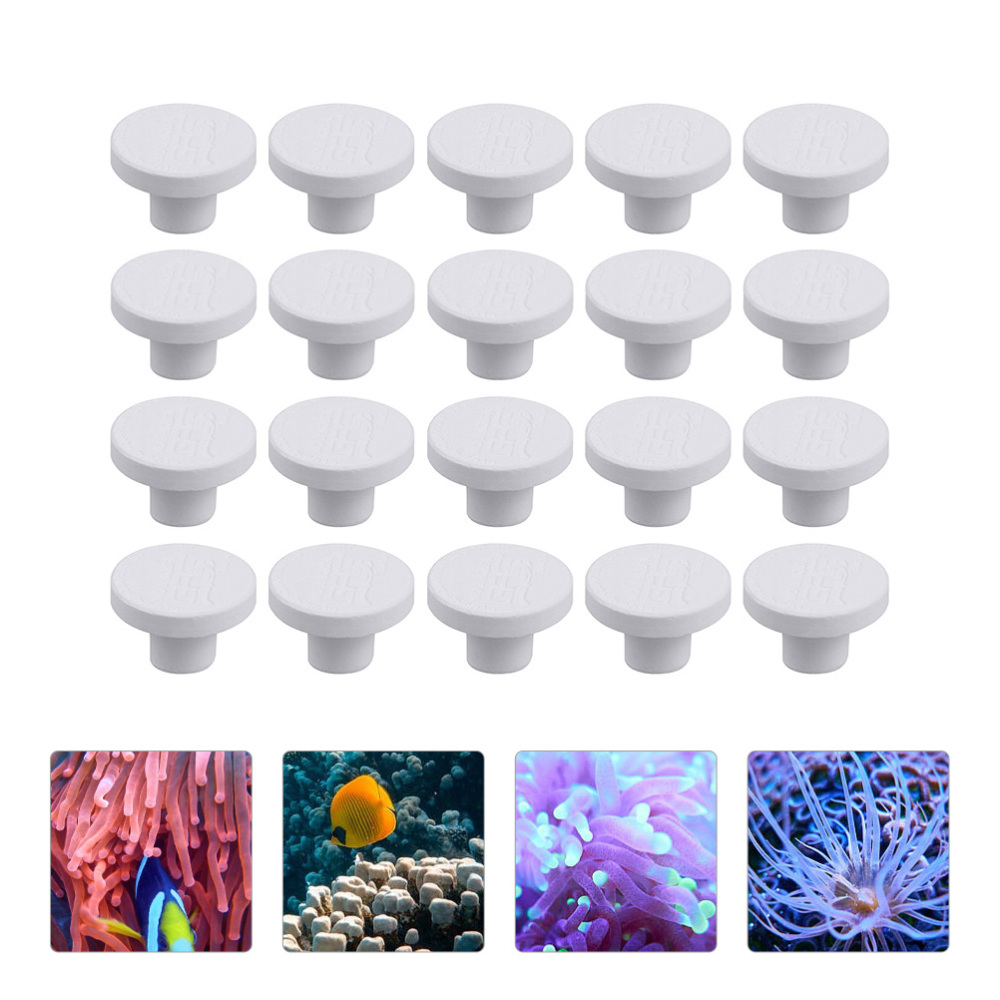 SPS Ceramic Coral Frag Plugs B - Aquarium Plant Ornament review and price