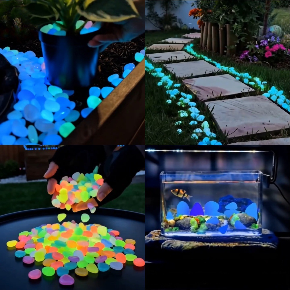 Colorful Glow In The Dark Lumi - Planted Aquarium With Fish review and price
