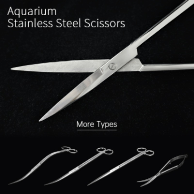 Week Aqua Stainless Steel Aqua - Aquarium Plants Book review and price