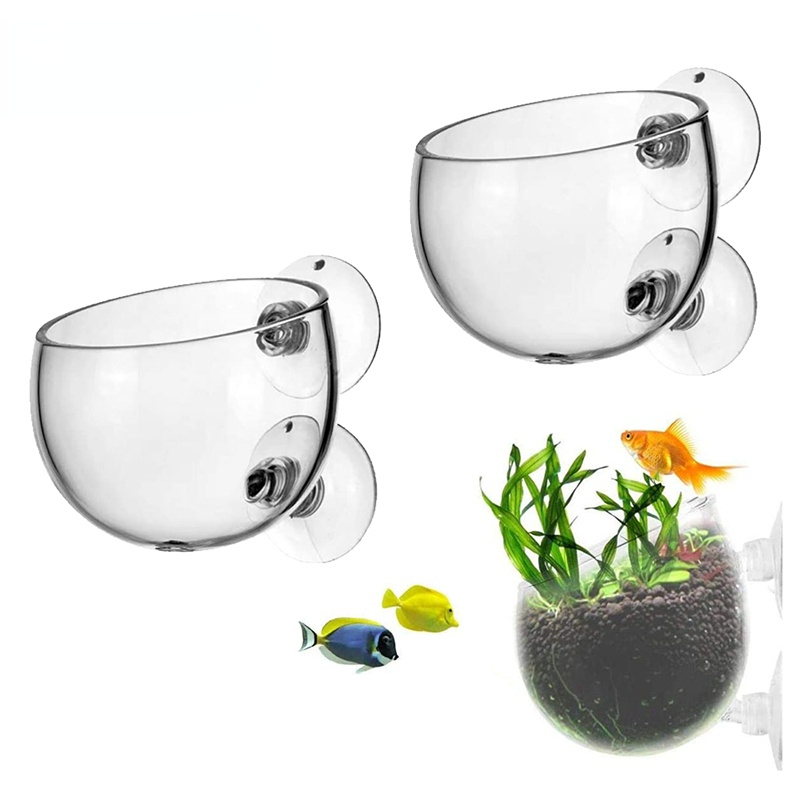 New Aquarium Plant Pot Glass C - Aquarium Planted Seeds review and price
