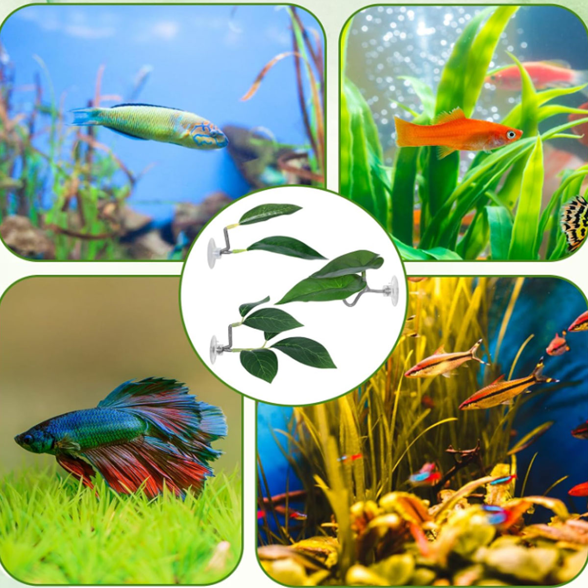 1 PC Betta Fish Hammock Soft A - Aquarium Plant Ornament review and price