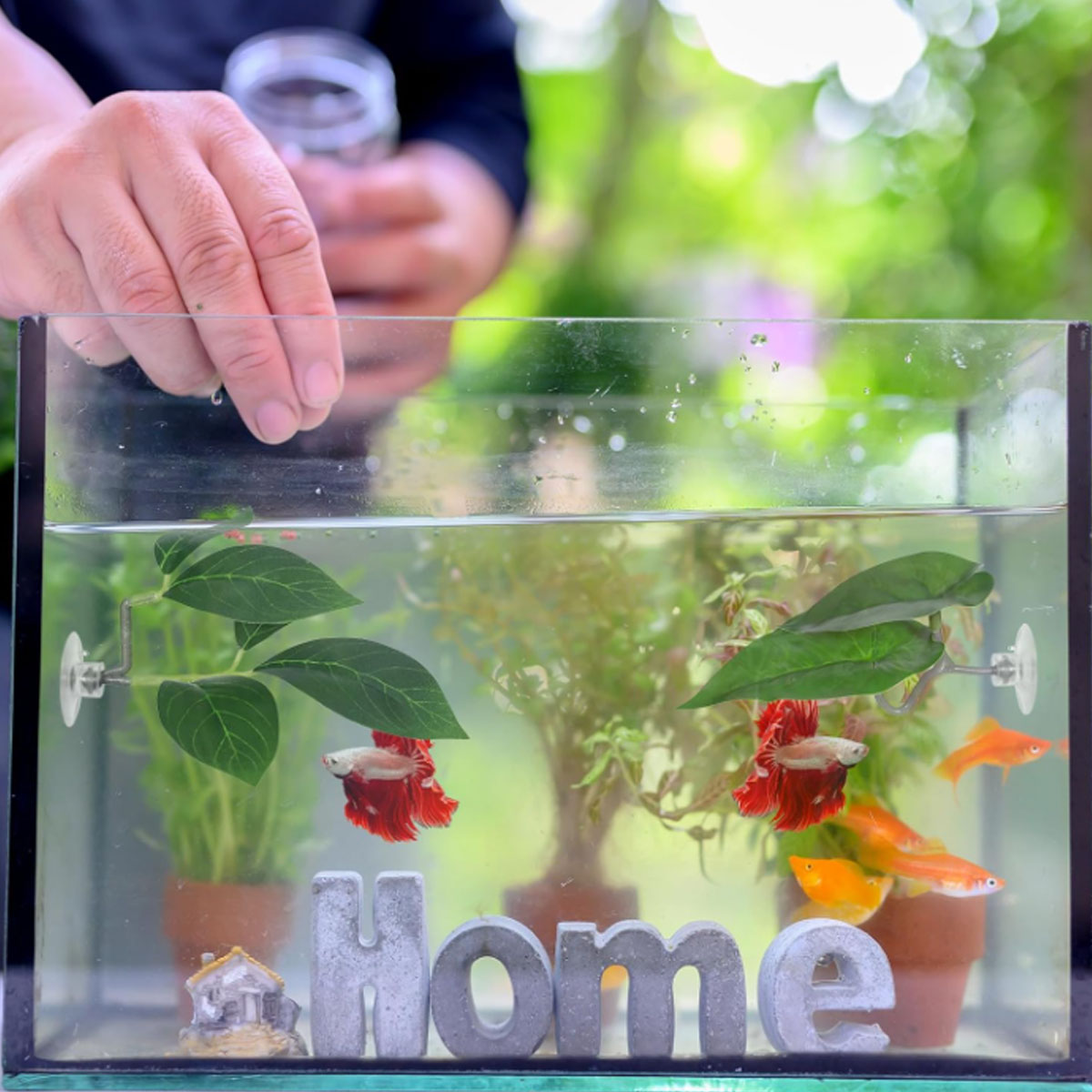1 PC Betta Fish Hammock Soft A - Aquarium Plant Ornament review and price