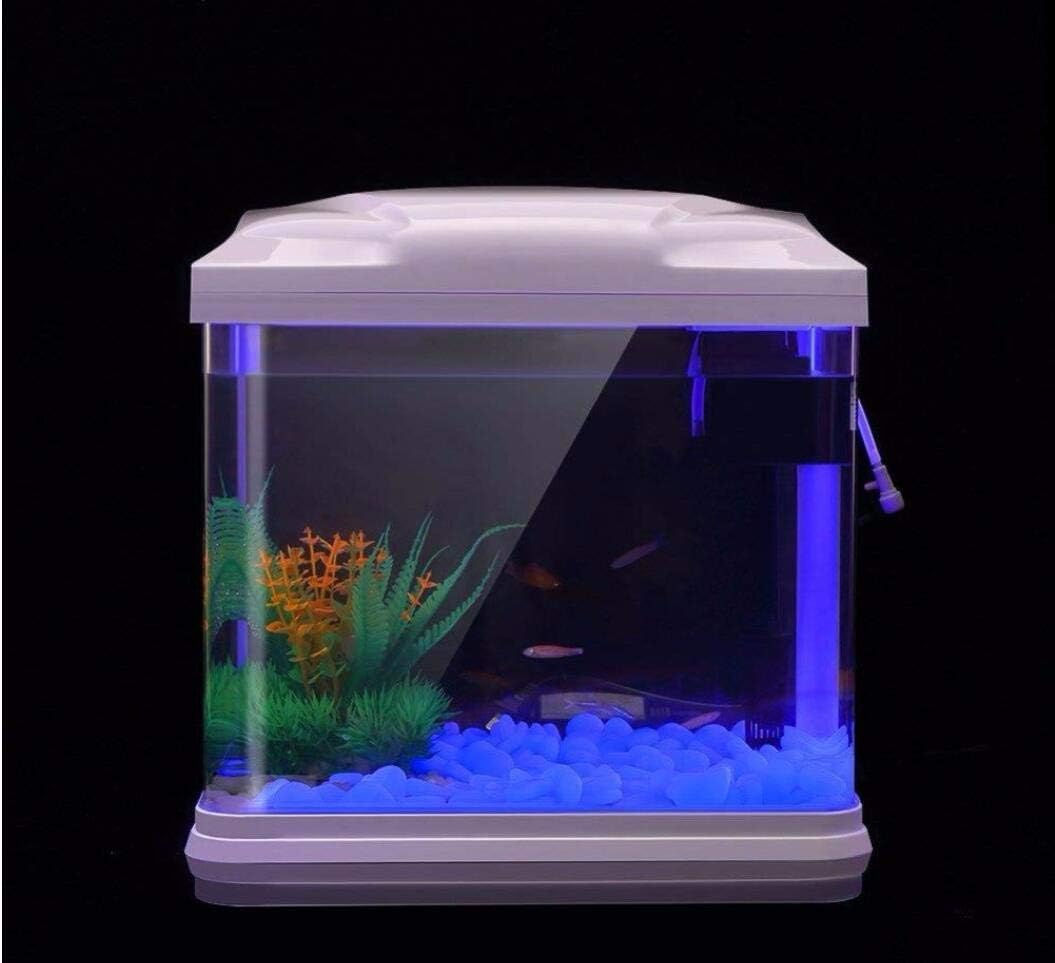 Fish Tank Rocks Glow Blue Pebb - Planted Aquarium With Fish review and price