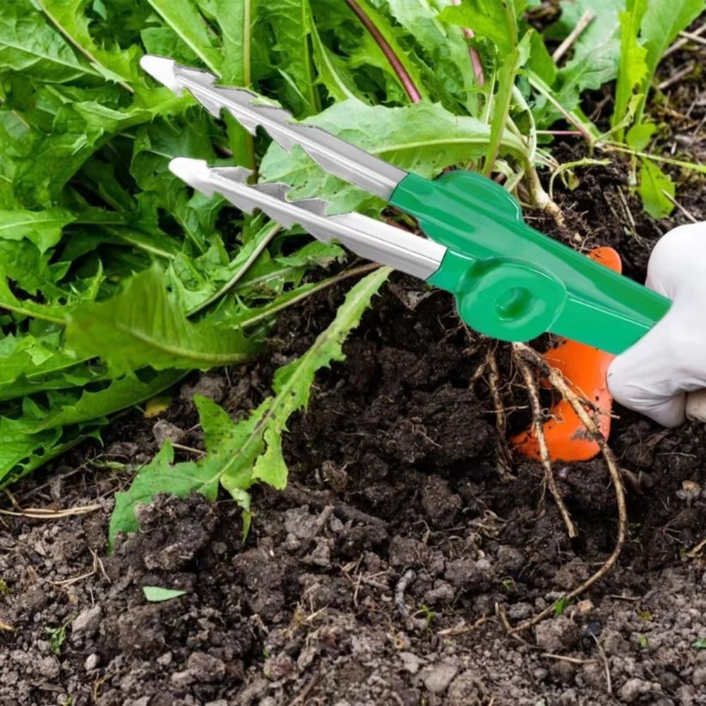 Stainless Steel Gardening Twee - Planted Clip Tweezers review and price