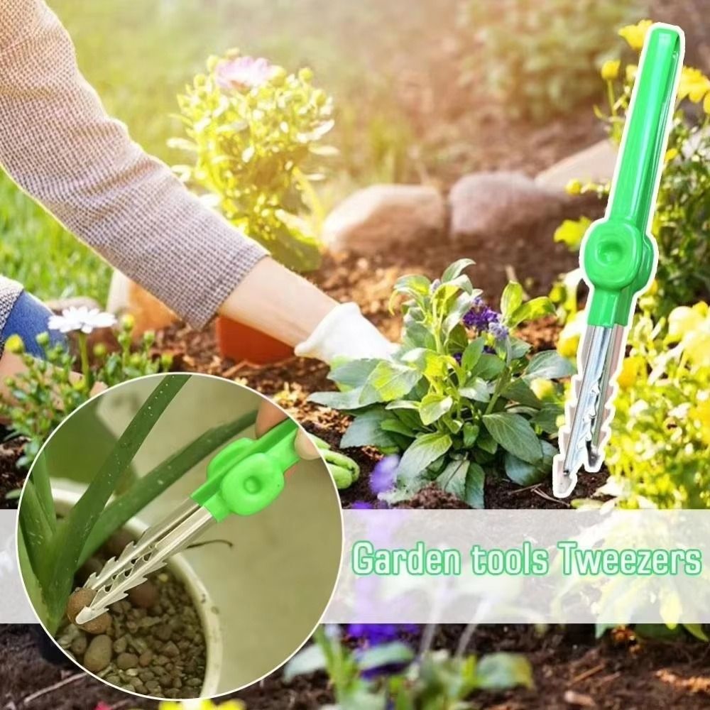 Stainless Steel Gardening Twee - Planted Clip Tweezers review and price