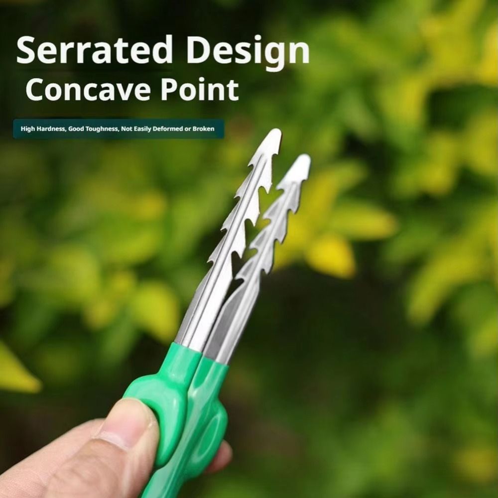 Stainless Steel Gardening Twee - Planted Clip Tweezers review and price