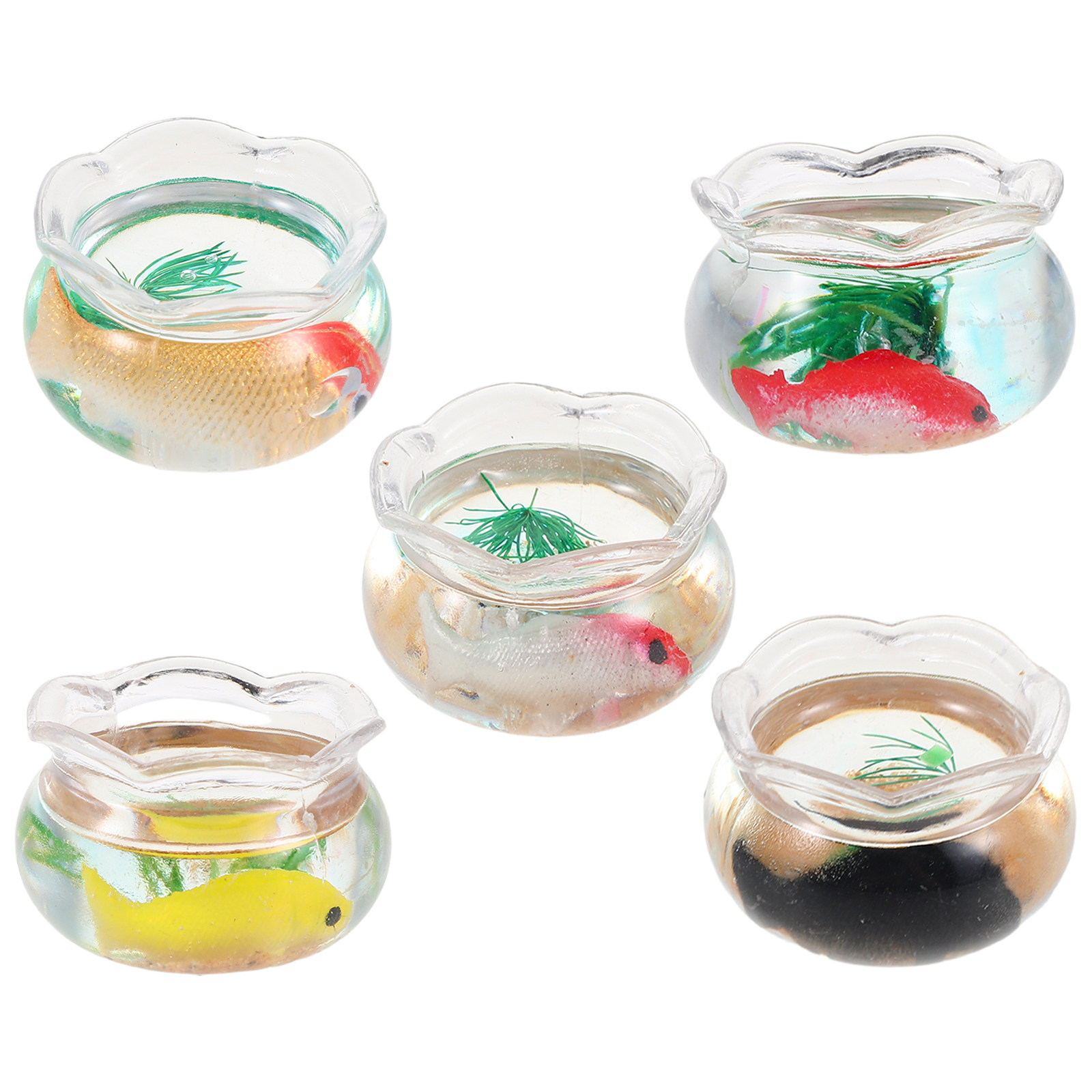 5Pcs Mini Fish Bowl Small Roun - Planted Aquarium With Fish review and price