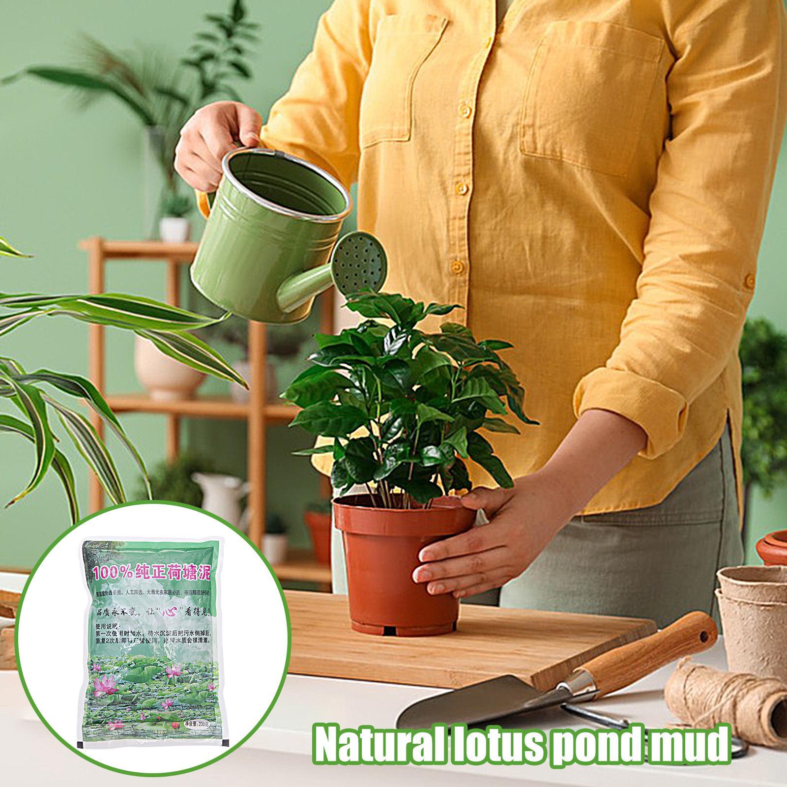 200g/bag Aquarium Soil Natural - Aquarium Planted Seeds review and price