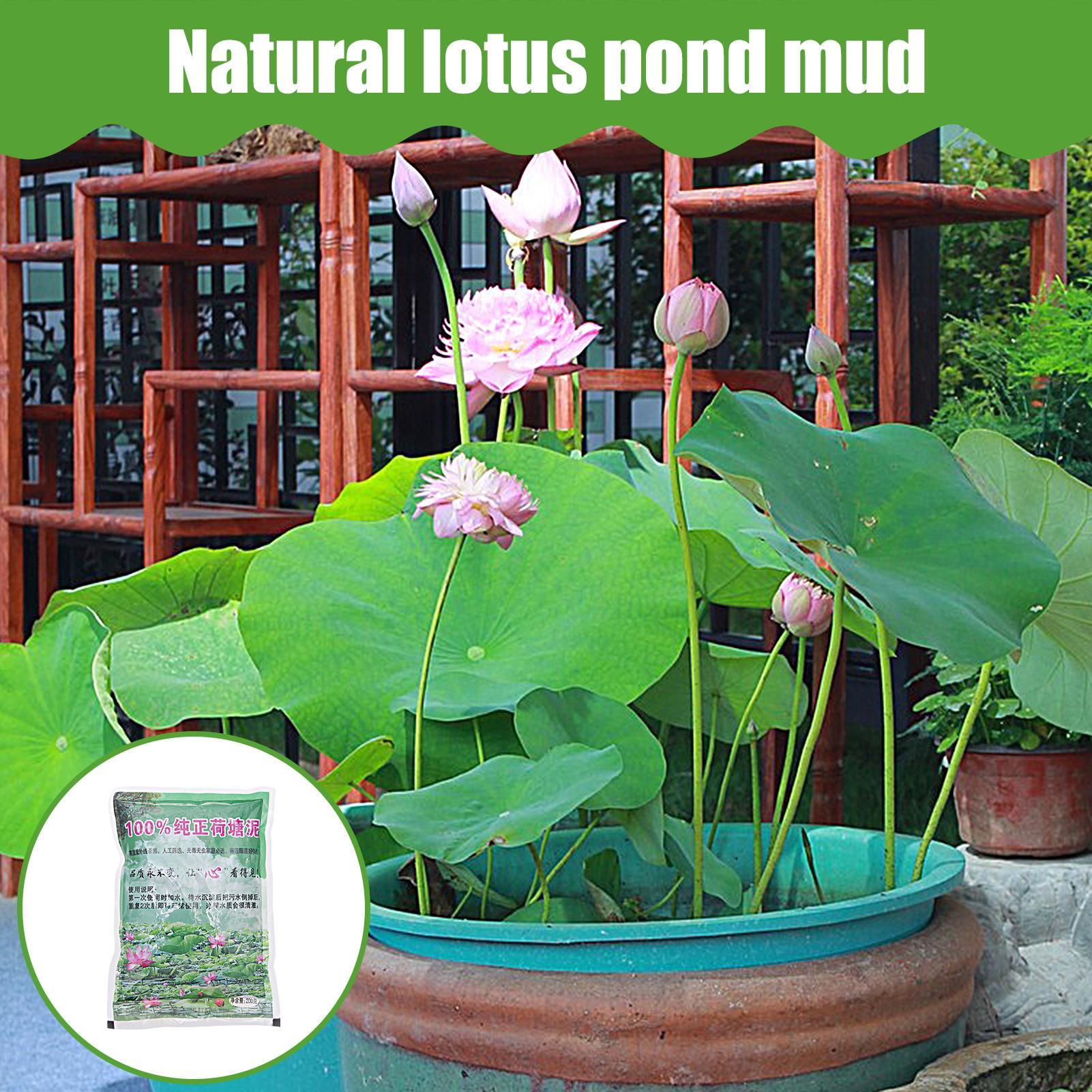 200g/bag Aquarium Soil Natural - Aquarium Planted Seeds review and price