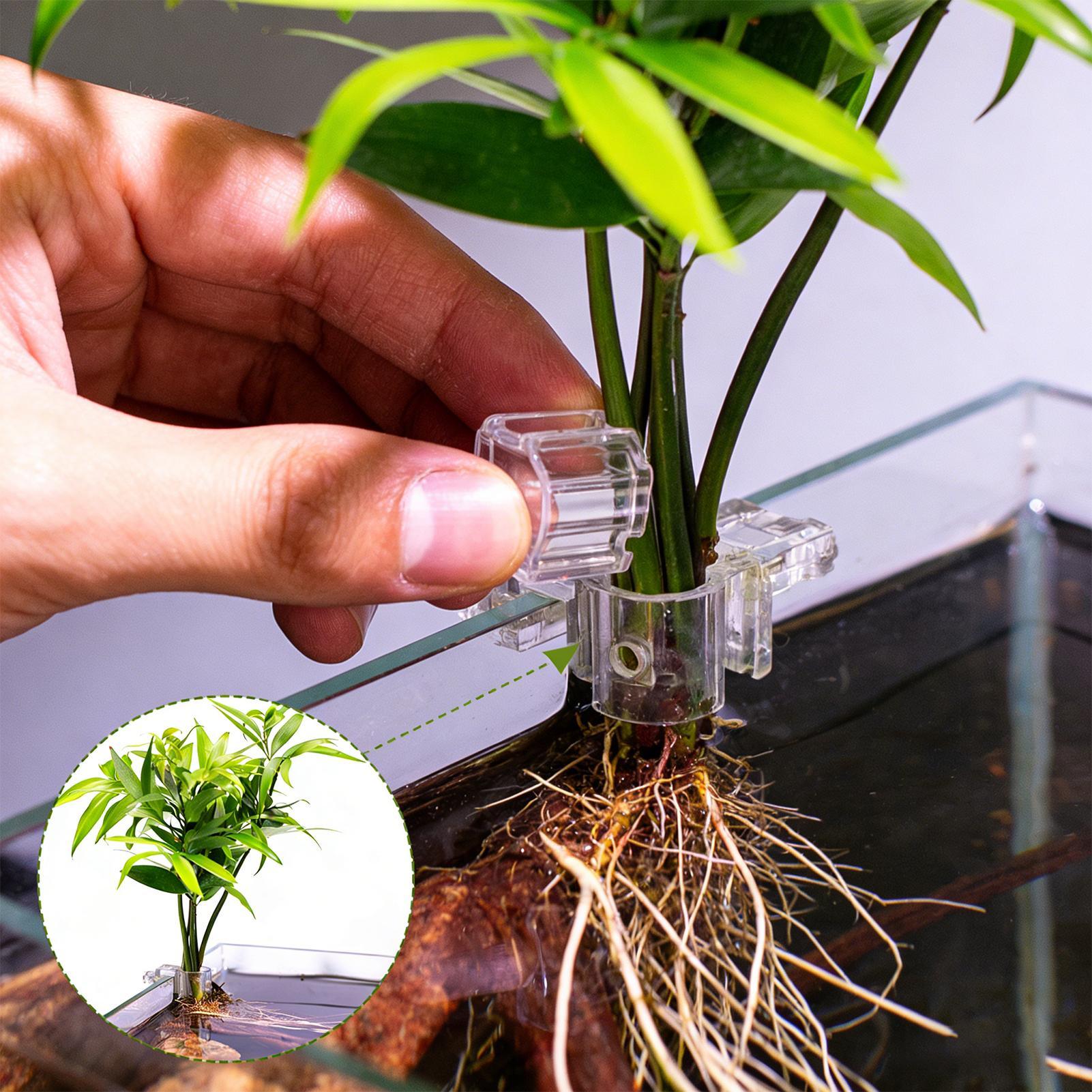 6pcs Aquarium Plant Holders Cl - Aquarium Plant Ornament review and price