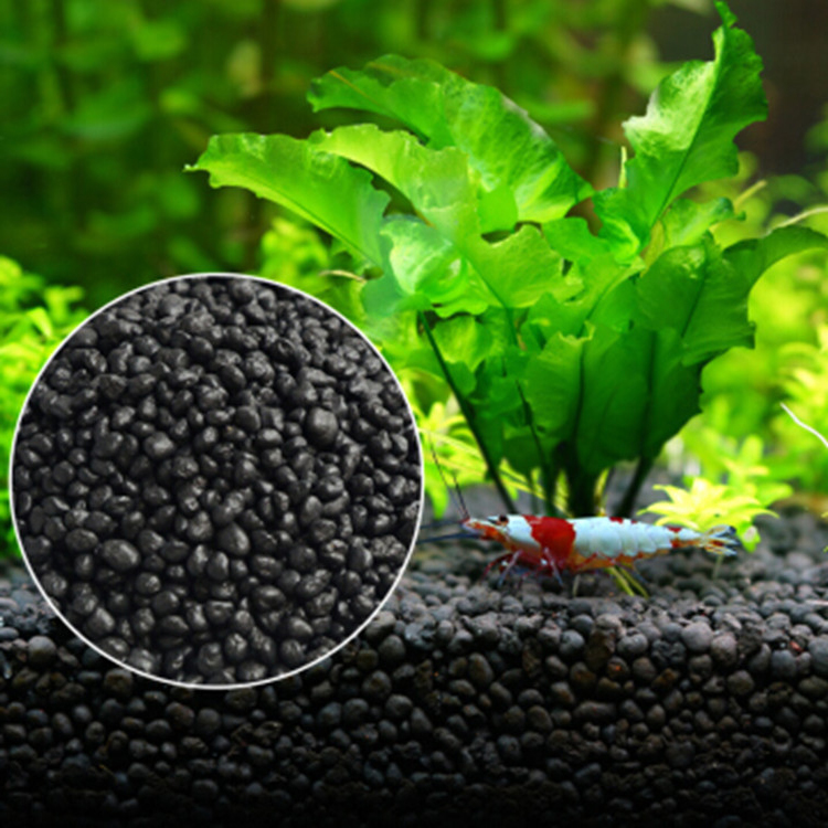 Aquarium Plant Seeds Soil Fish - Aquarium Plants Book review and price