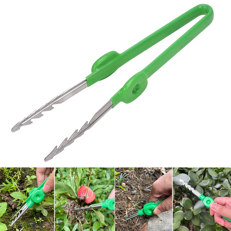 1Pc Gardening Tweezers Succule - Planted Clip Tweezers review and price