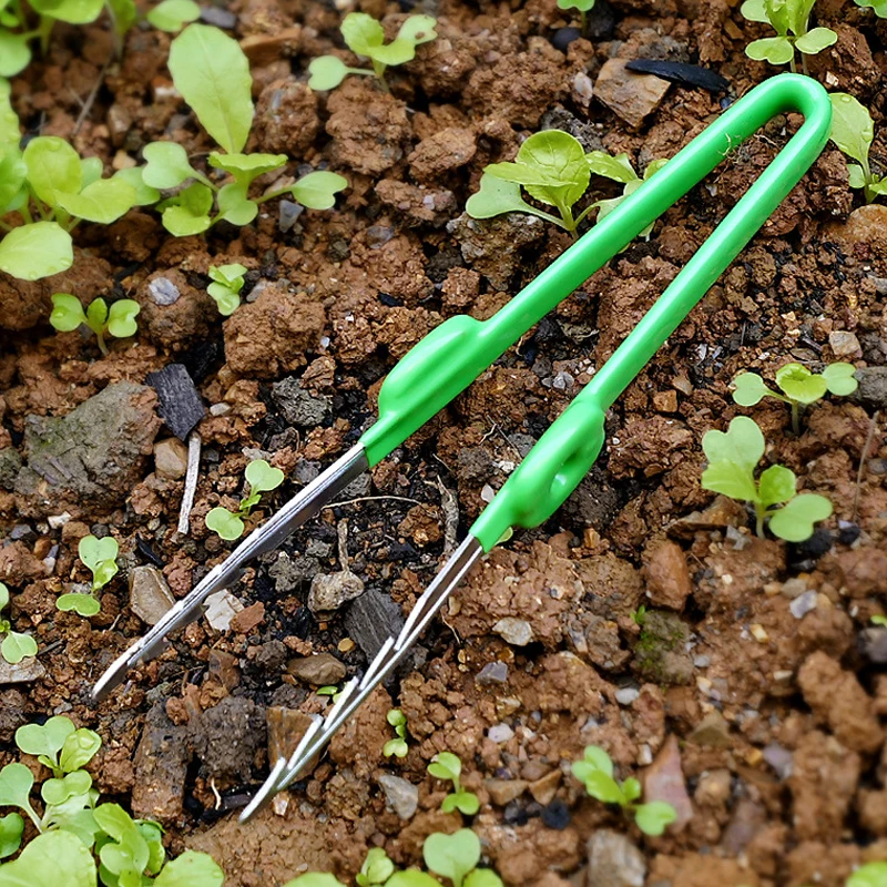 1Pc Gardening Tweezers Succule - Planted Clip Tweezers review and price