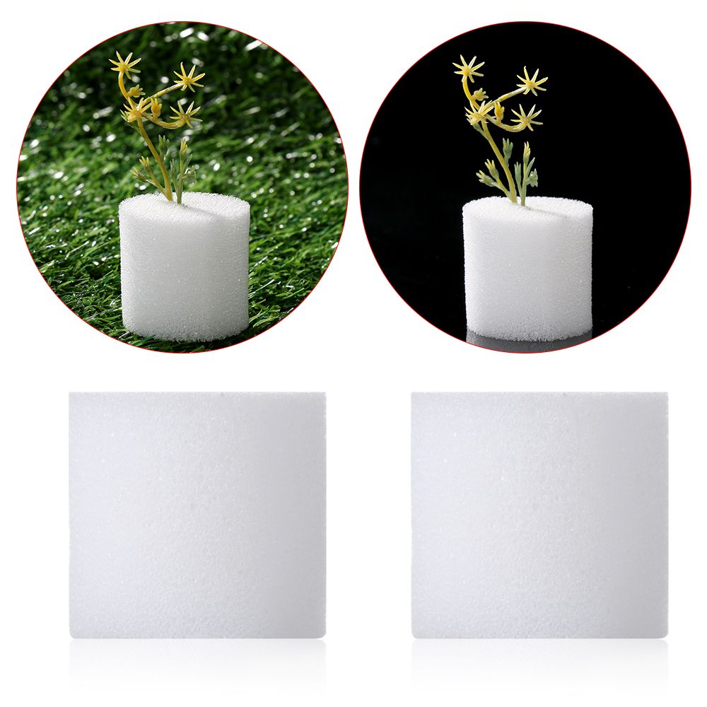 10/50pcs Durable Garden Suppli - Aquarium Planted Seeds review and price