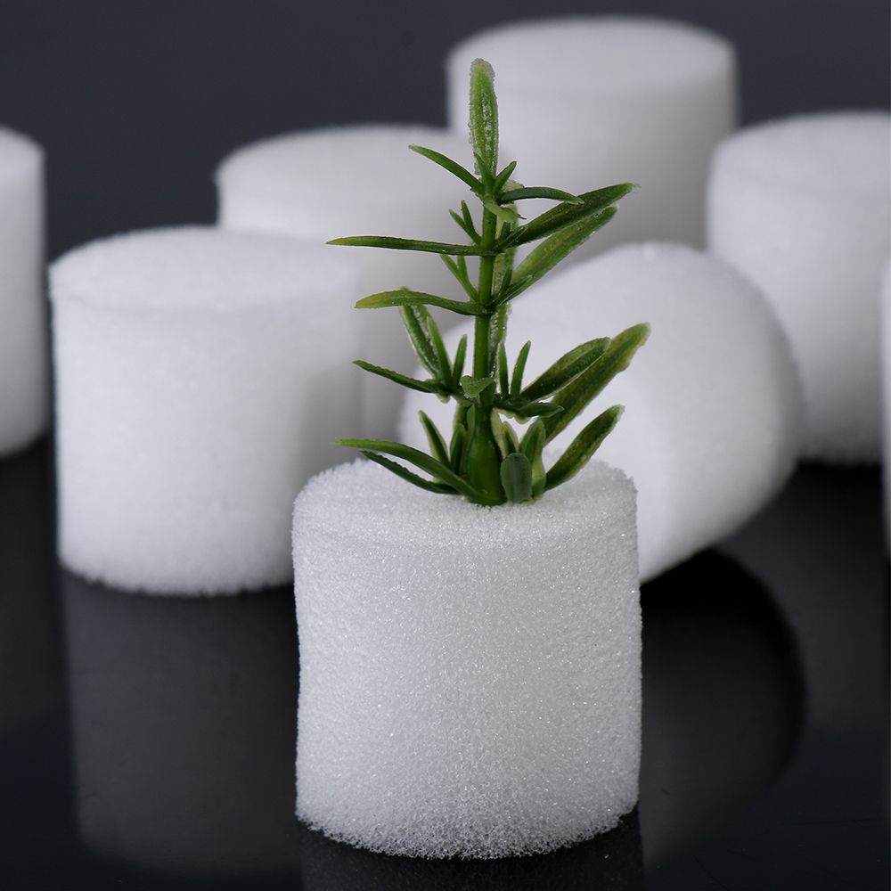 10/50pcs Durable Garden Suppli - Aquarium Planted Seeds review and price