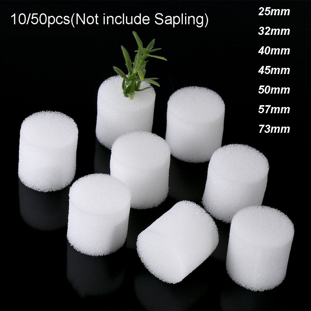 10/50pcs Durable Garden Suppli - Aquarium Planted Seeds review and price