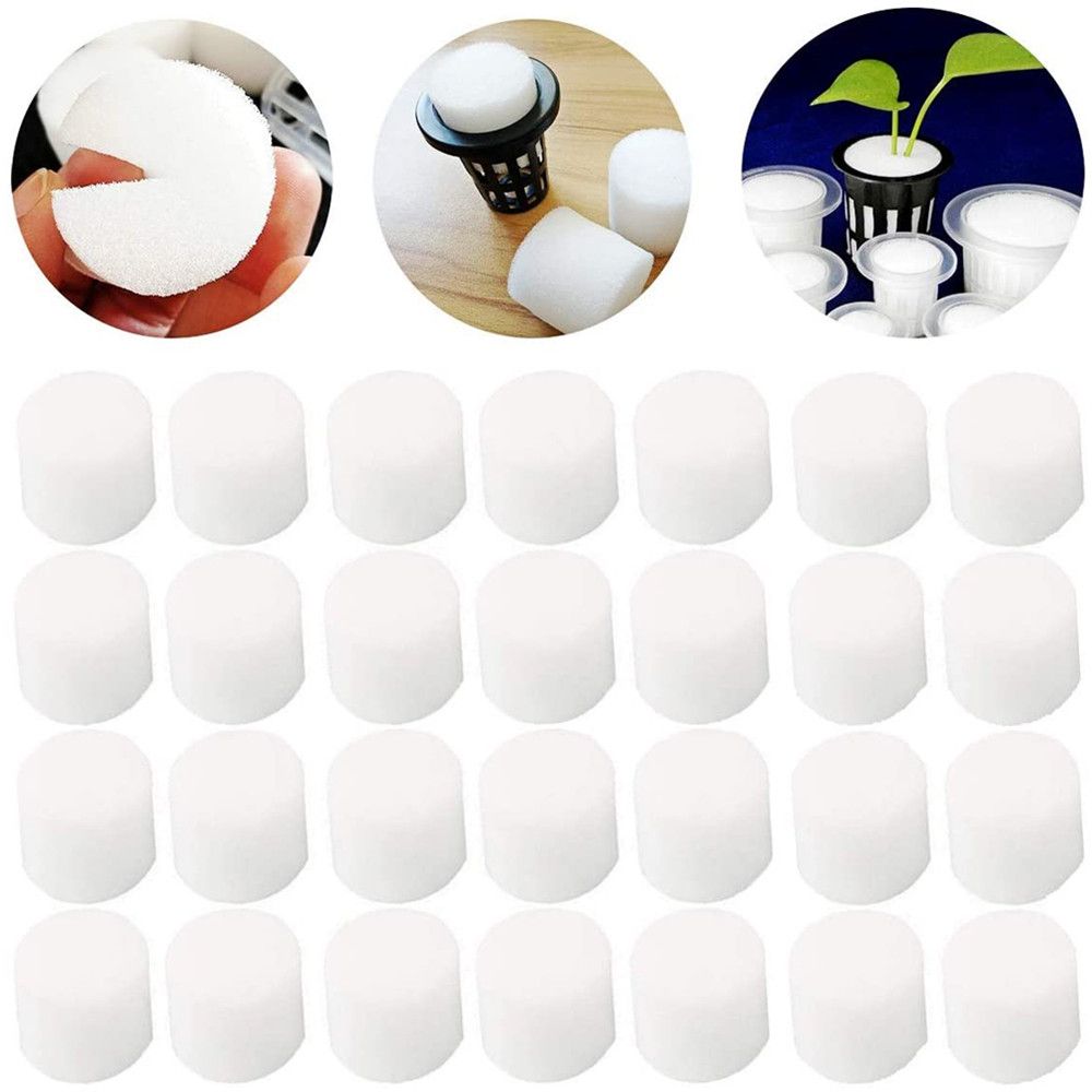 10/50pcs Durable Garden Suppli - Aquarium Planted Seeds review and price