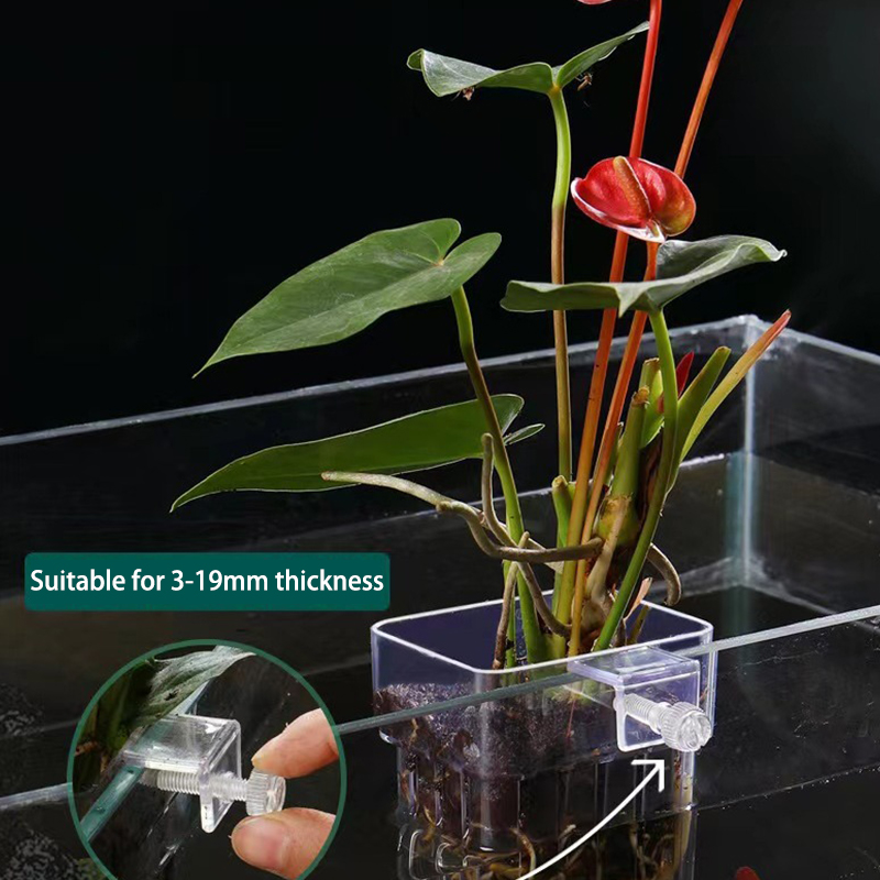 Multifunctional Fish Aquarium  - Planted Aquarium With Fish review and price