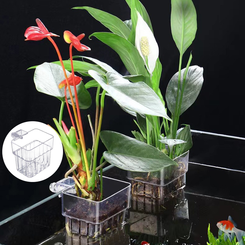 Multifunctional Fish Aquarium  - Planted Aquarium With Fish review and price