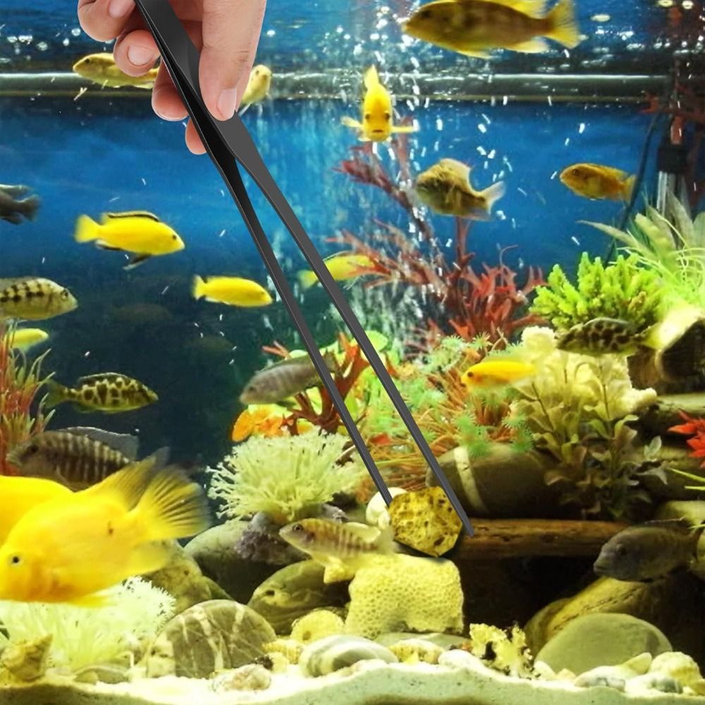 Stainless Steel Long Aquarium  - Planted Clip Tweezers review and price