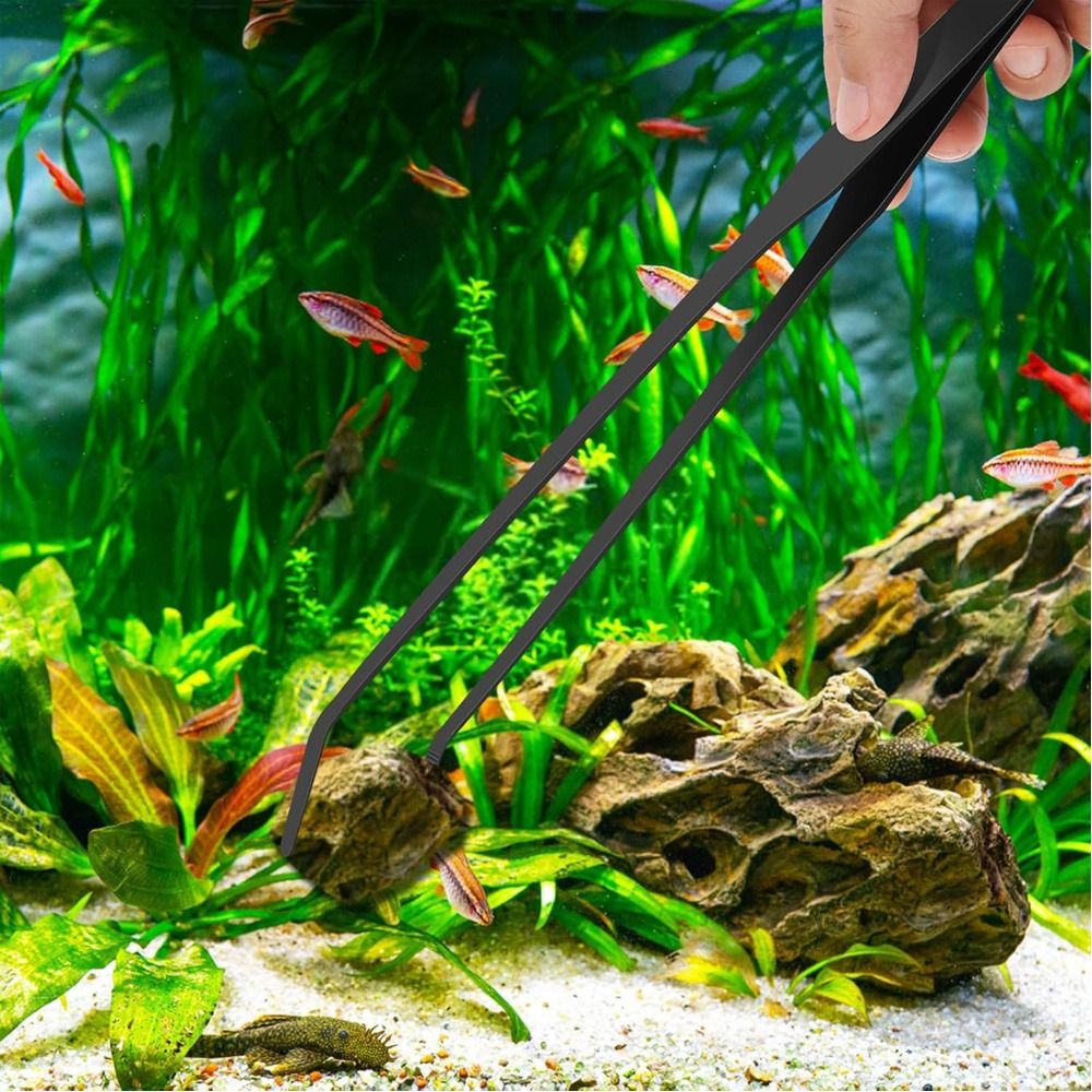 Stainless Steel Long Aquarium  - Planted Clip Tweezers review and price