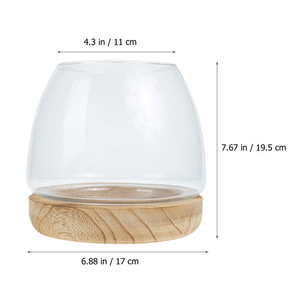 1Set Clear Glass Hydroponic Pl - Planted Aquarium With Fish review and price
