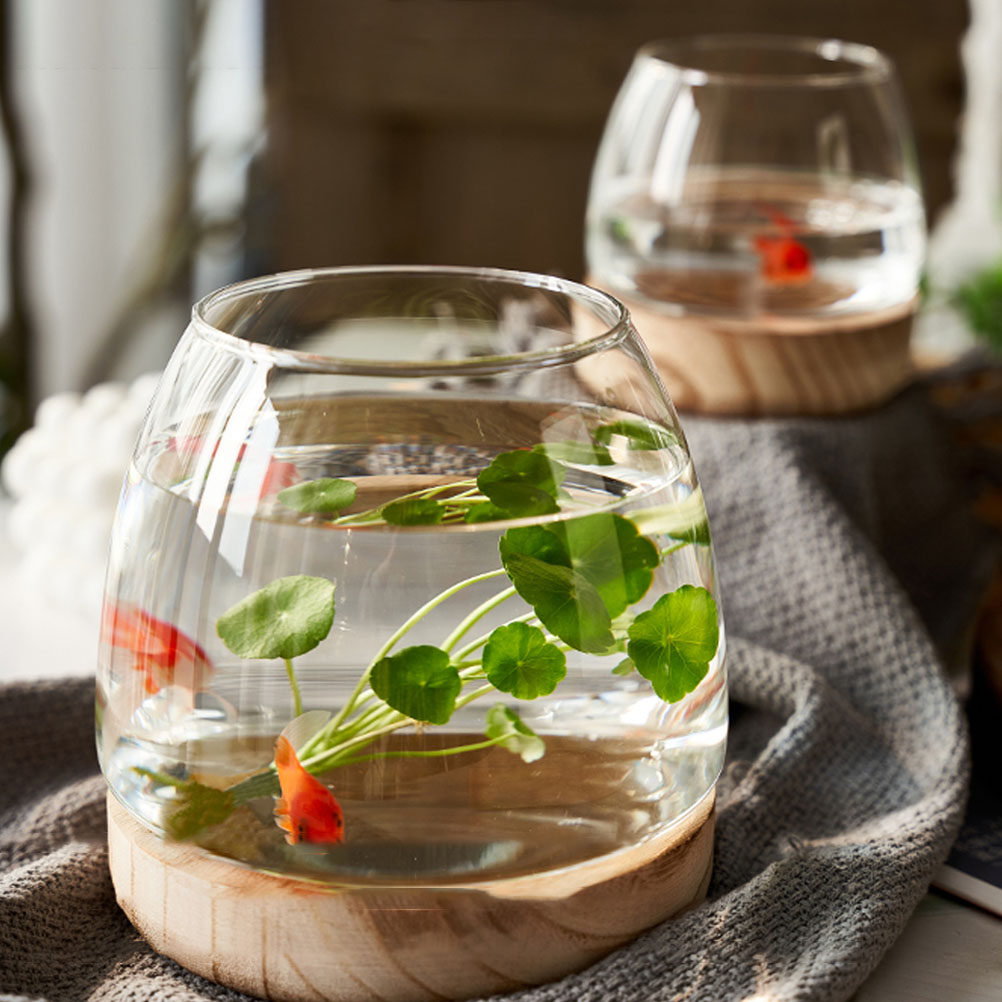 1Set Clear Glass Hydroponic Pl - Planted Aquarium With Fish review and price