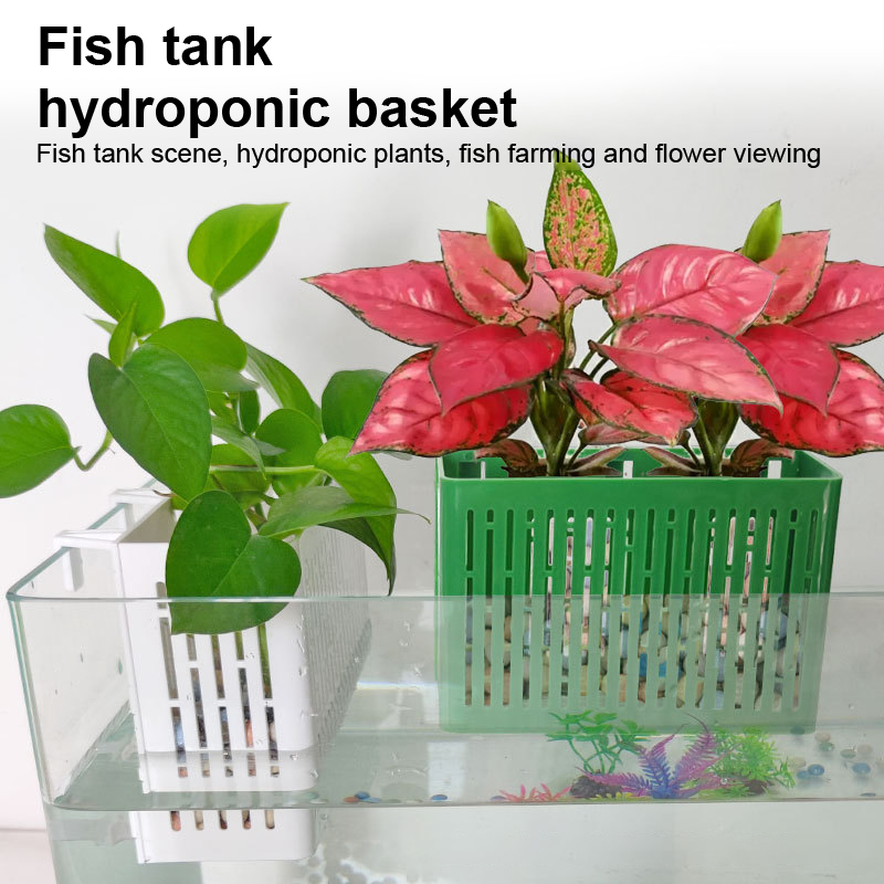 【F】Fish Tank Hanging Planter A - Aquarium Plants Book review and price