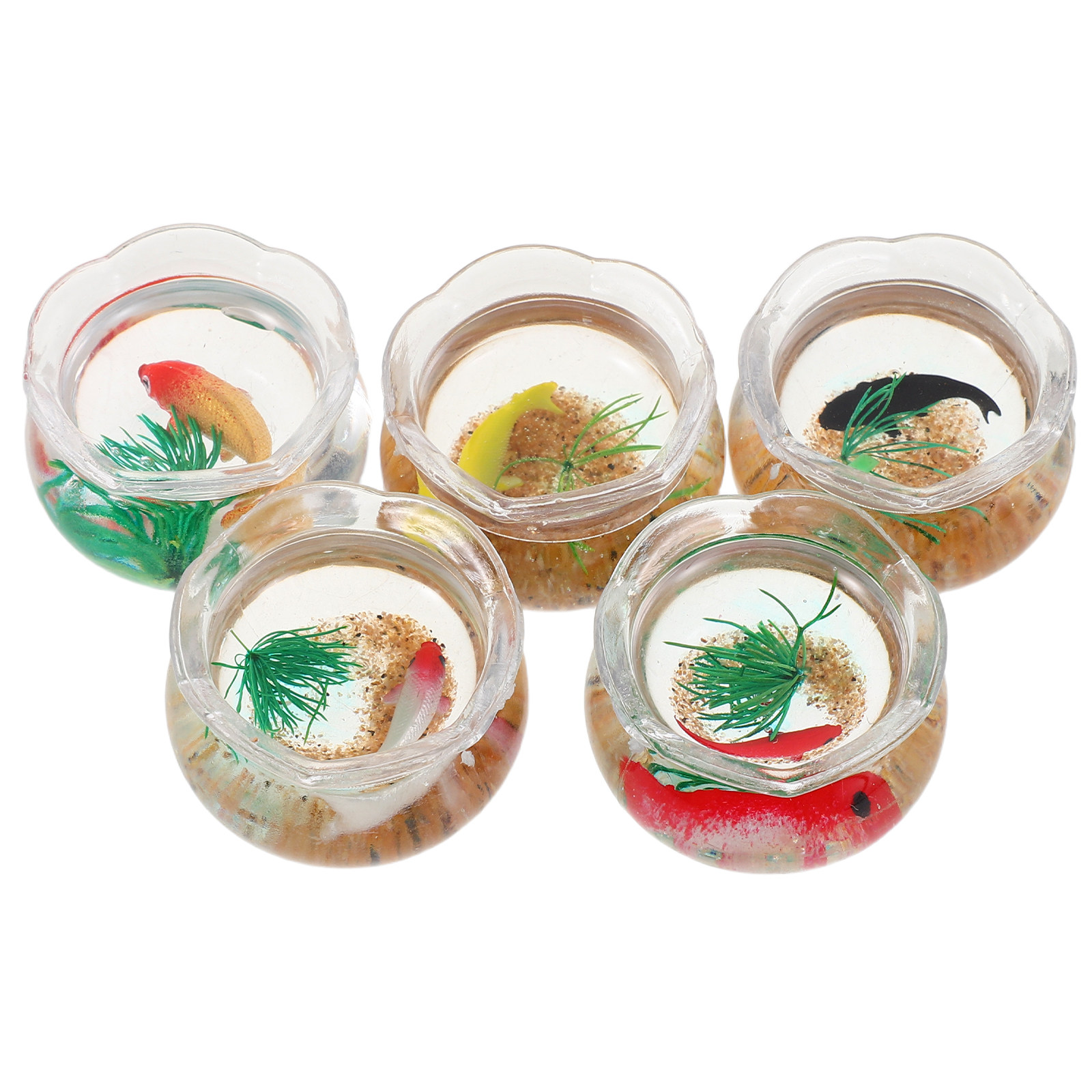 5Pcs Mini Fish Bowl Realistic  - Planted Aquarium With Fish review and price