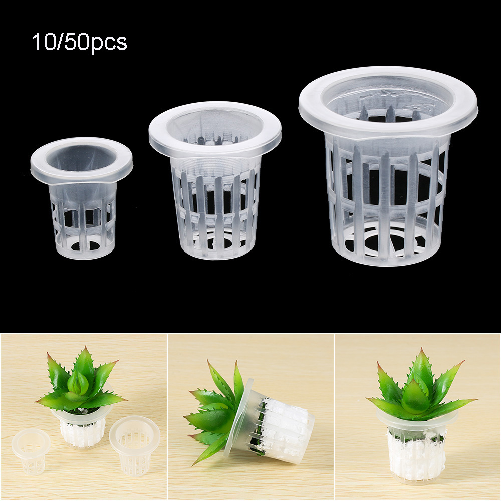 10/50pcs Garden Supplies Plant - Aquarium Planted Seeds review and price