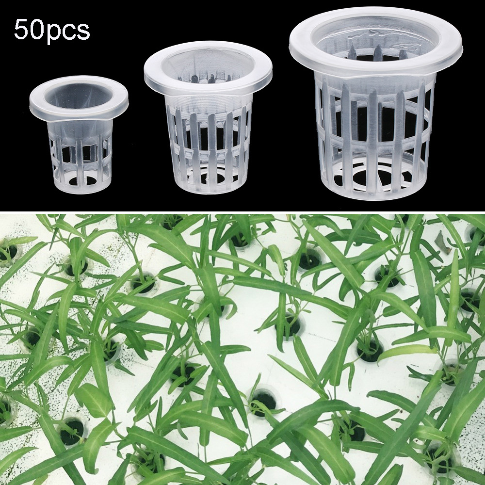 10/50pcs Garden Supplies Plant - Aquarium Planted Seeds review and price