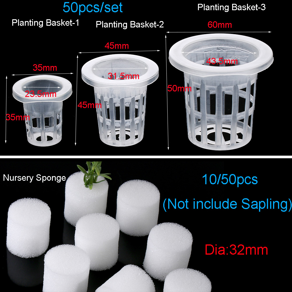 10/50pcs Garden Supplies Plant - Aquarium Planted Seeds review and price